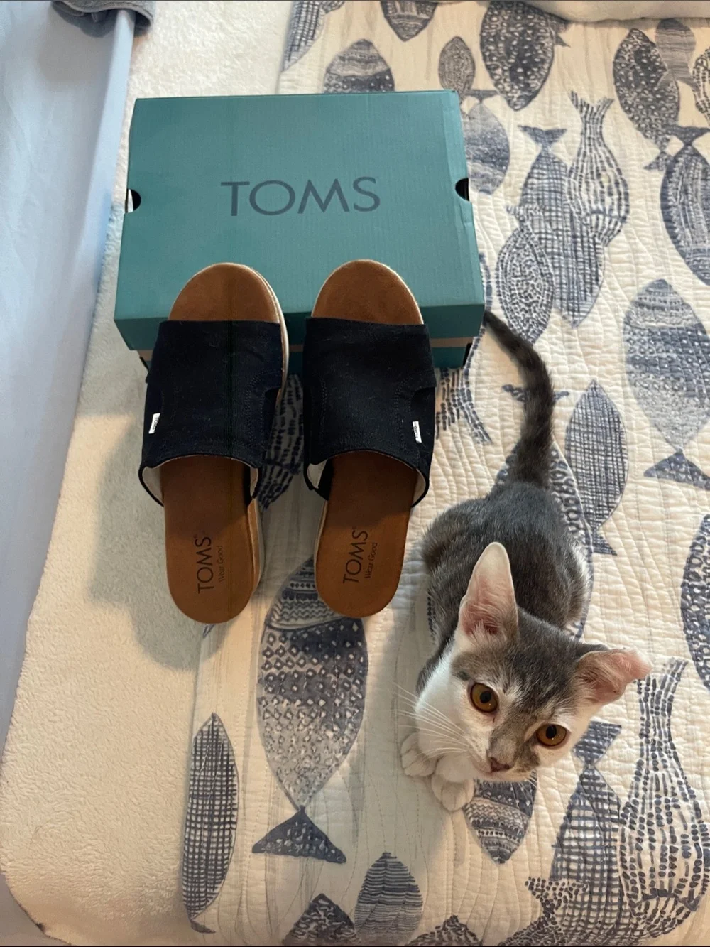 Toms Black Slide Sandals with Brown Footbed and Canvas Upper